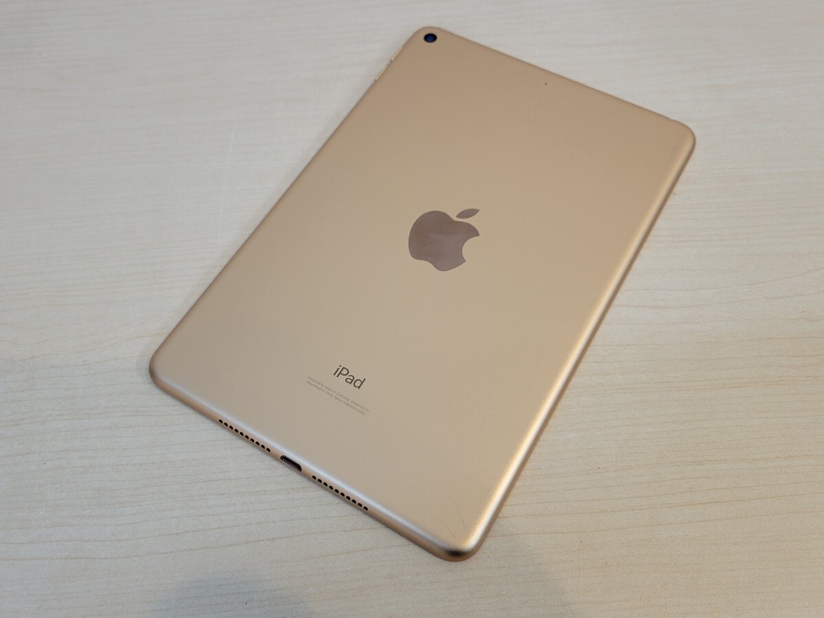 ジャンク iPad mini 第5世代 Wi-Fi 256GB ゴールド Wi-Fiモデル　A2133_画像2