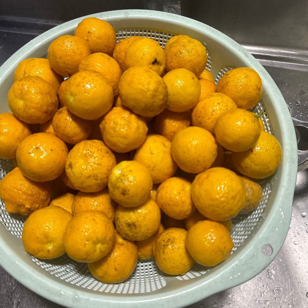 花柚子 無農薬 4月4日12時頃収穫25.26個郵パケットプラスにて発送柚子風呂いろんな用途で使えます。ドレッシング、美容等にも
