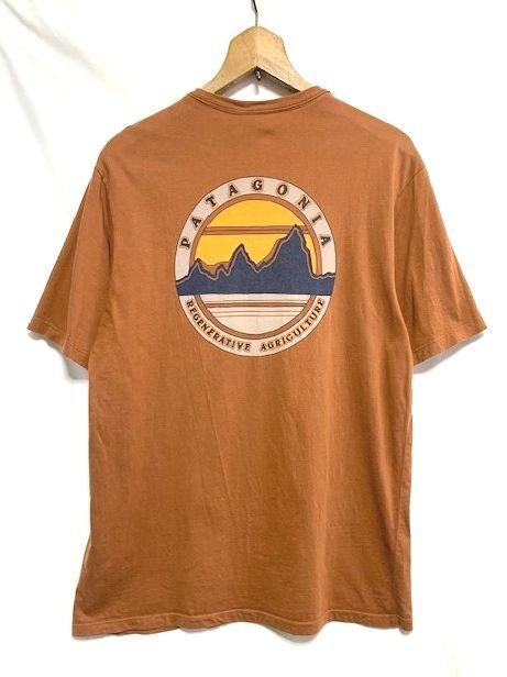 ☆20SS 美品　patagonia パタゴニア　Road To Regenerative Pocket Tee ロゴプリント ポケットTシャツ ブラウン S_画像1