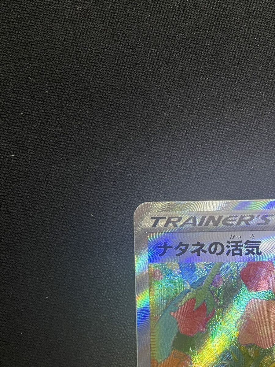 【1円】ナタネの活気 GARDENIA'S VIGOR SAR 243/172 s12a ポケモンカード pokemon card ポケカ 美品の画像3