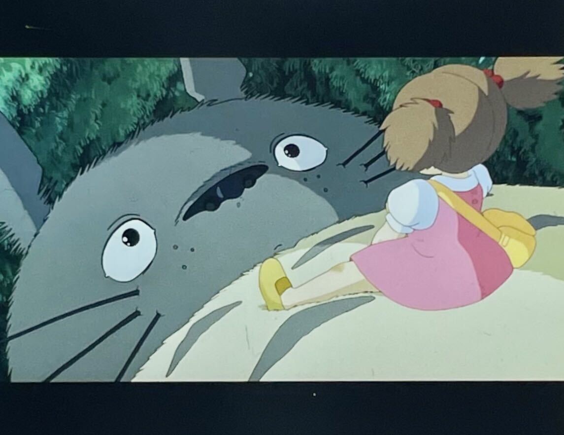 『となりのトトロ (1988) MY NEIGHBOR TOTORO』35mm フィルム 1コマ スタジオジブリ 映画 メイ トトロ Film Studio Ghibli_画像1