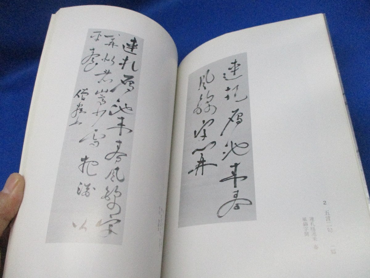 近世末の書聖 寂嚴・慈雲展　印譜　思文閣 昭和54年　52712_画像10