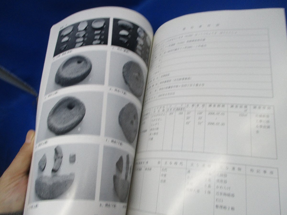 神奈川県鎌倉市　下ヶ町遺跡発掘調査報告書　茅ヶ崎　2007年　　かわらけ　_画像6