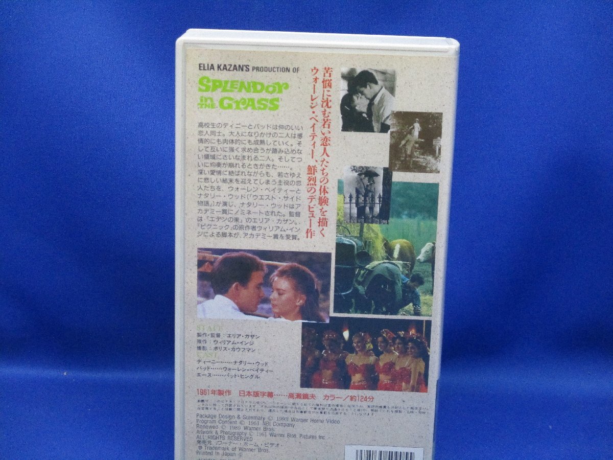 草原の輝き　字幕版　ナタリー・ウッド　VHS　ウォーレンベイティー/32305_画像3