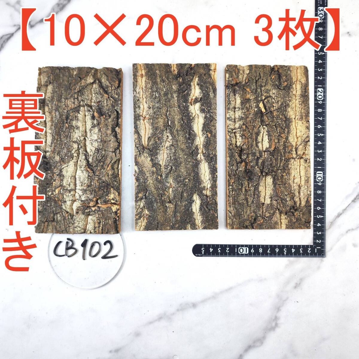 CB102[ reverse side board attaching 3 sheets 10×20cm] cork . leather cork board bar Gin cork free shipping chi Ran jia staghorn fern put on raw Ran amphibia reptiles 