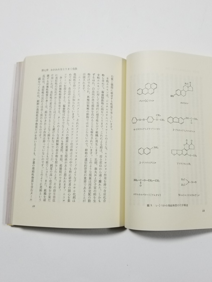 がんの科学　マイケル・B・シムキン　杉村隆　共立出版　昭和56年初版7刷_画像7