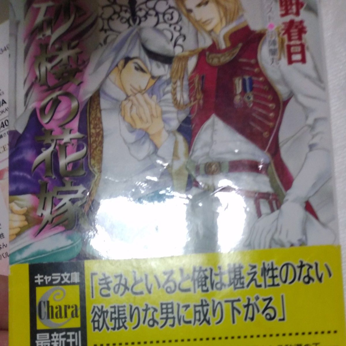 美男と従者の恋は逃避行から始まる （幻冬舎ルチル文庫　こ２－１７） 小中大豆／著価格：660円（税抜）