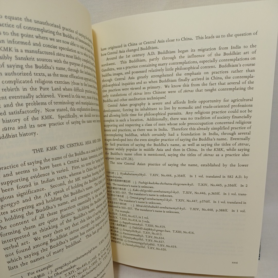 ☆洋書　the sutra of contemplation on The BUDDAHA of immeasurable life 　仏説観無量寿経　浄土真宗　本願寺　親鸞聖人　蓮如　龍谷_画像6