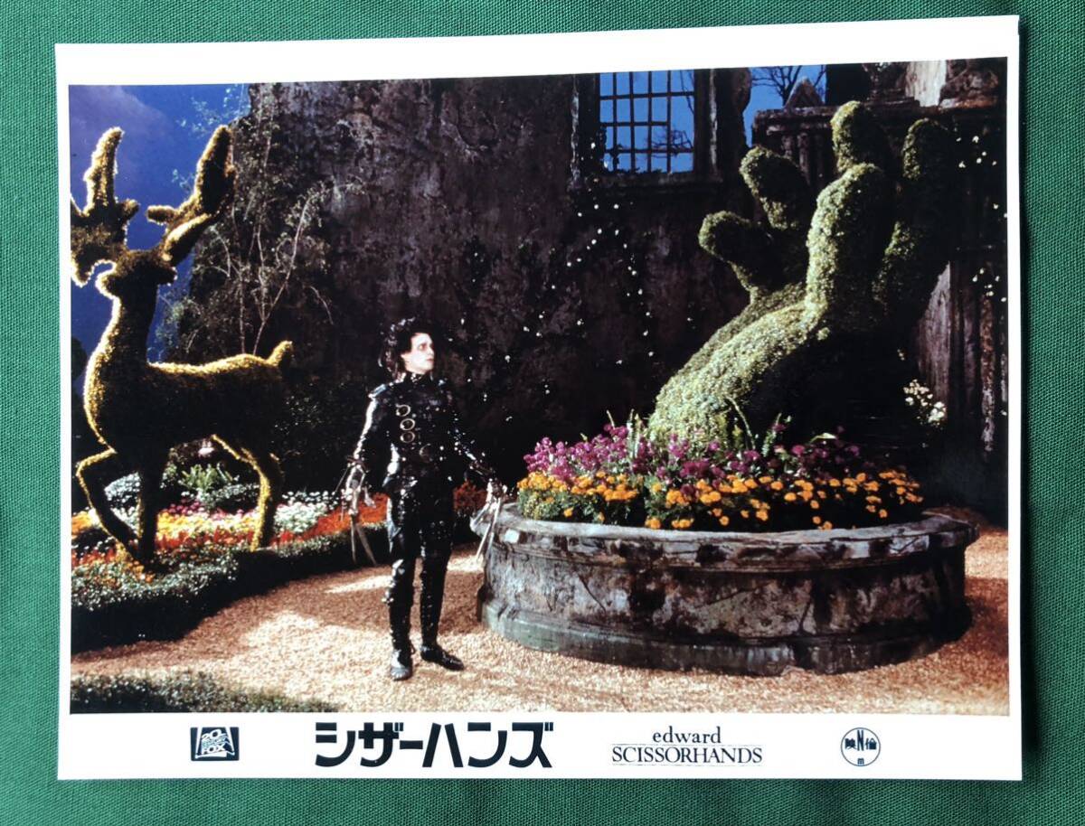 シザーハンズ、5枚、大版カラースチール、美品、EDWARD SCISSORHANDS、ジョニー・デップ、Johnny Depp、ウィノナ・ライダー、Winona Ryder_画像2