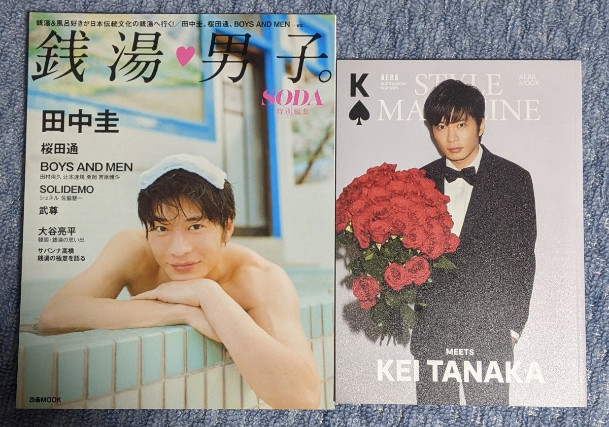  田中圭 2冊セット  銭湯男子。/ AERA STYLE MAGAZINE MEETS KEI TANAKA 