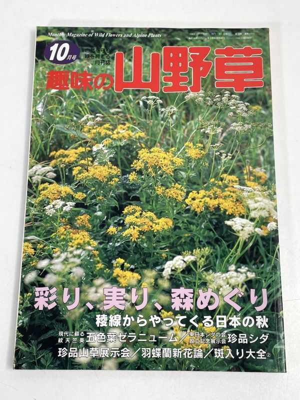  hobby. fields and mountains grass 1998 year 10 month number zela new m1998 year Heisei era 10 year [H75637]