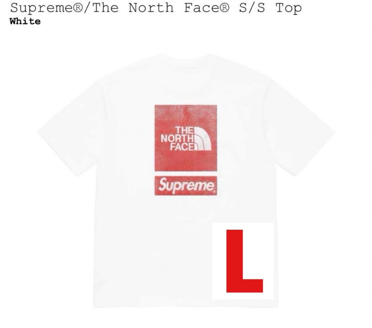 Supreme/The North Face S/S Top