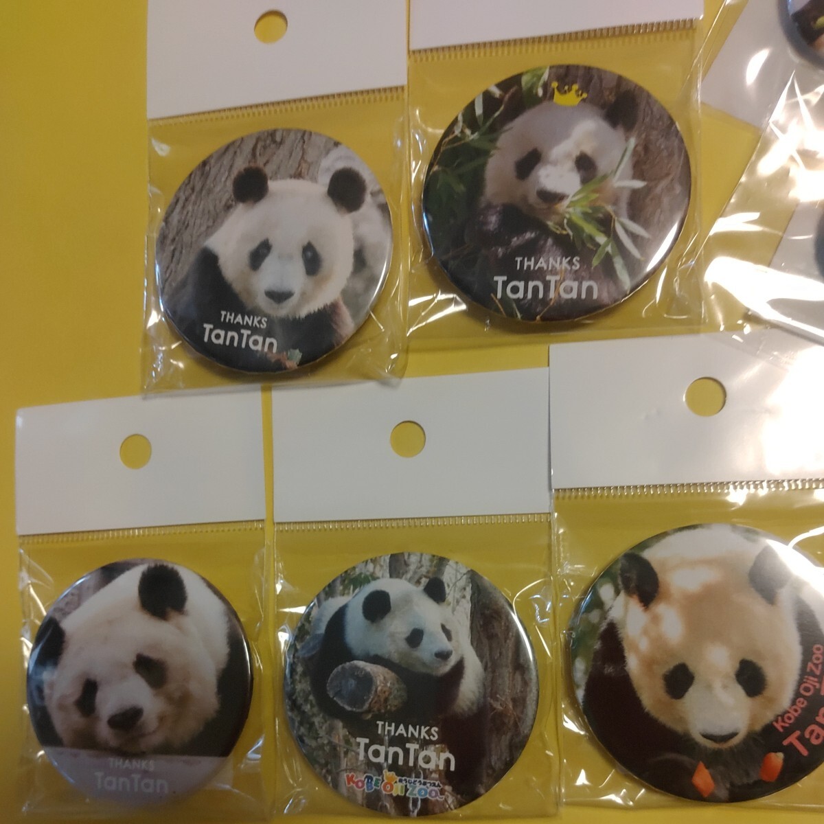 タンタン 王子動物園 缶バッジ セット 靴下 ありがとうタンタン THANKS TANTAN パンダ ジャイアントパンダ panda の画像3
