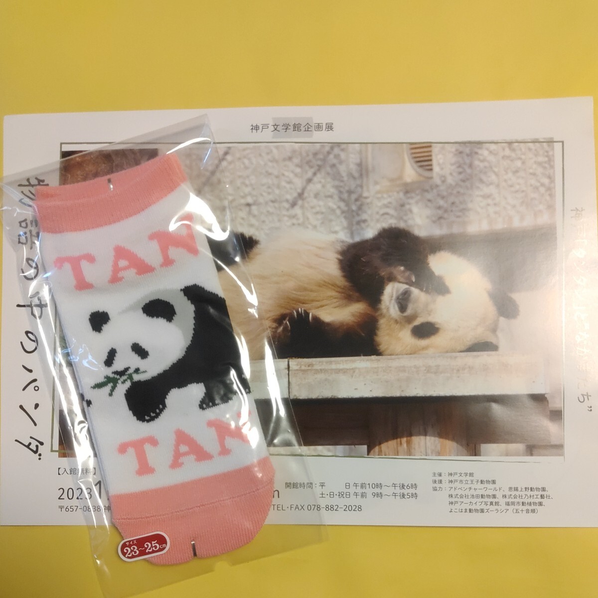 タンタン 王子動物園 缶バッジ セット 靴下 ありがとうタンタン THANKS TANTAN パンダ ジャイアントパンダ panda の画像5