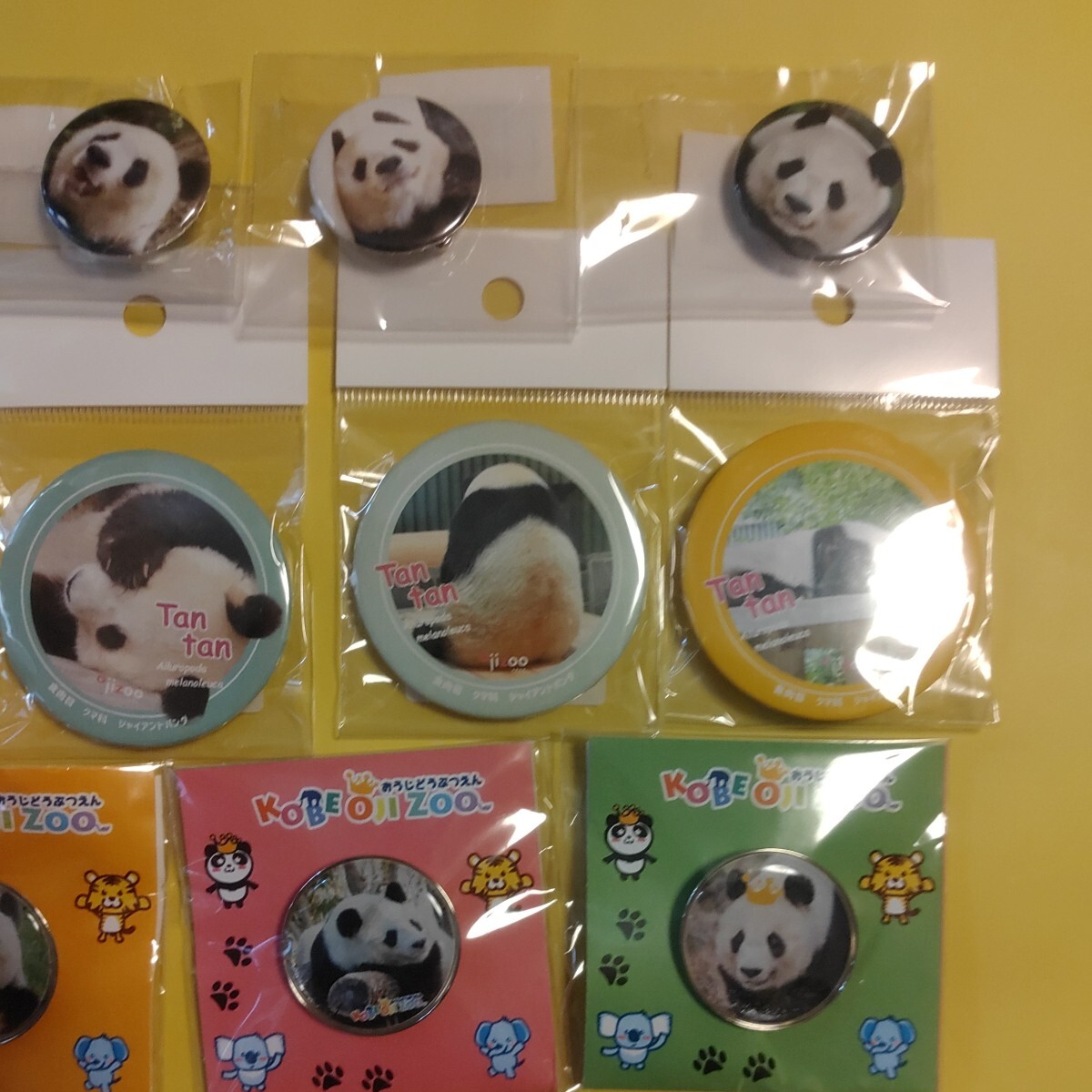 タンタン 王子動物園 缶バッジ ピンバッジ セット パンダ Panda ジャイアントパンダ シャンシャン シャオシャオ レイレイの画像6