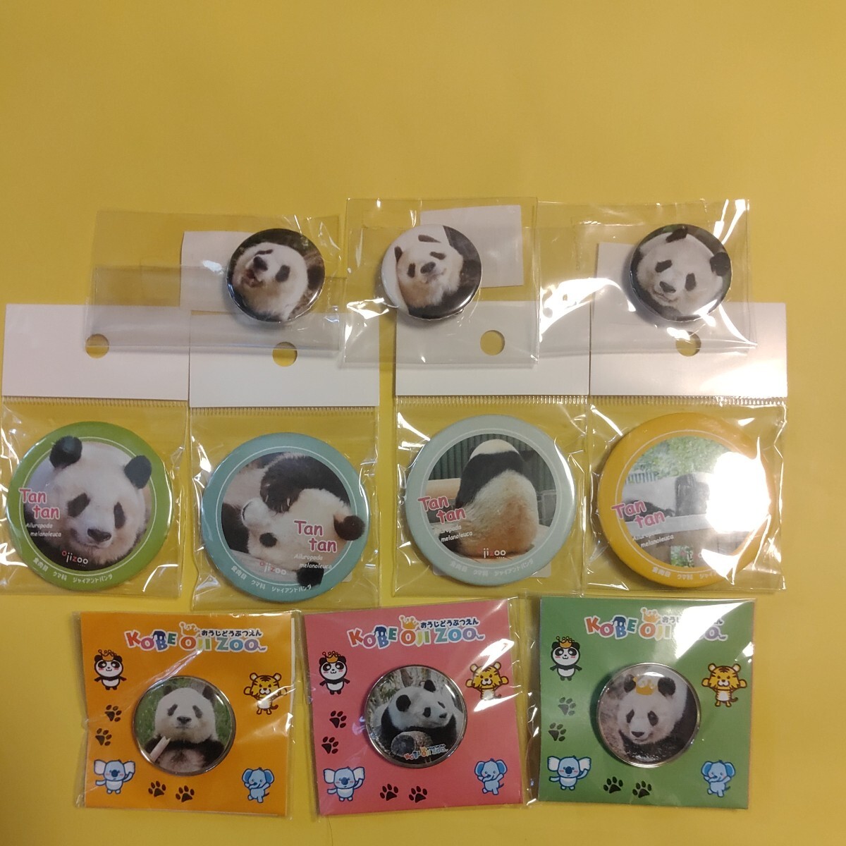 タンタン 王子動物園 缶バッジ ピンバッジ セット パンダ Panda ジャイアントパンダ シャンシャン シャオシャオ レイレイの画像8