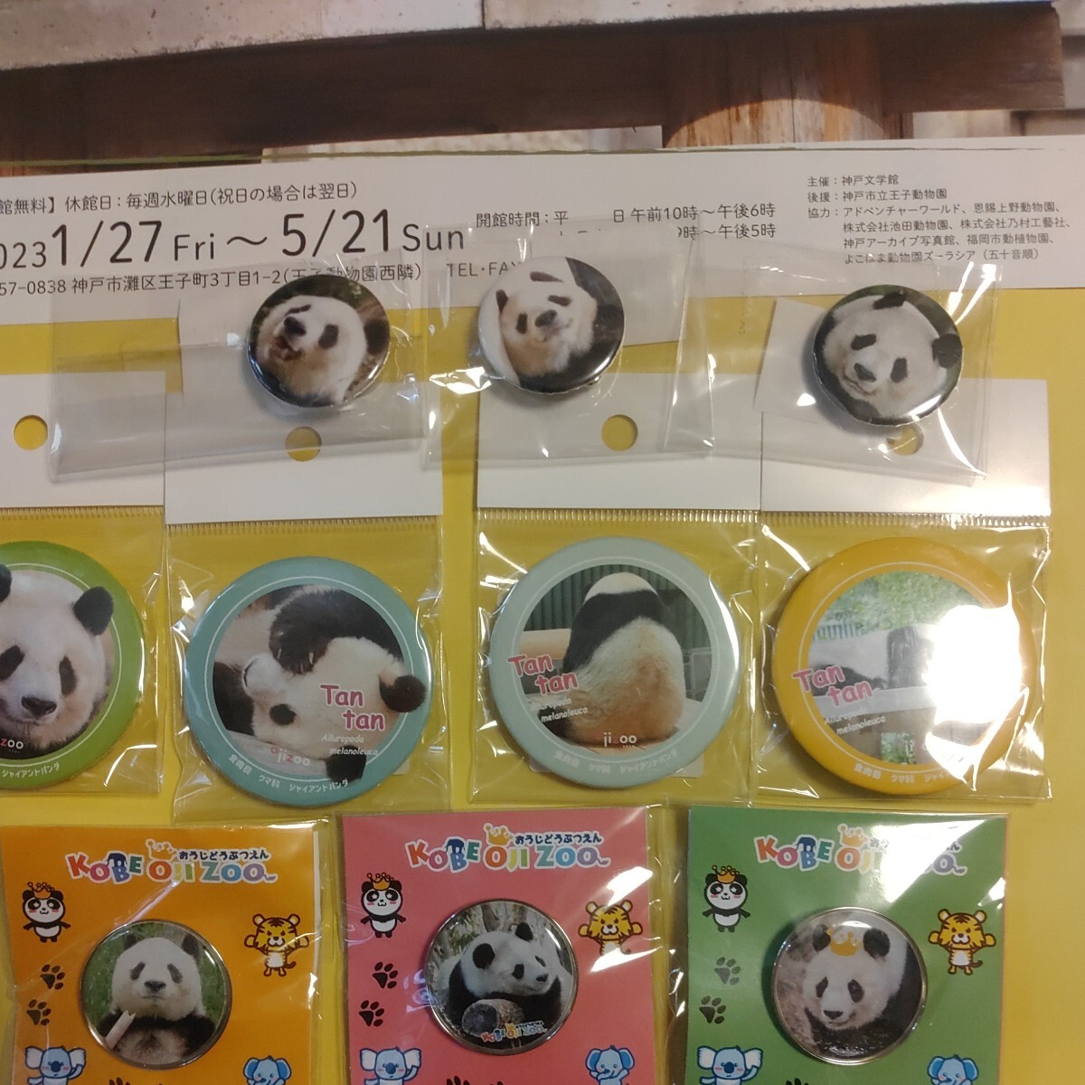 タンタン 王子動物園 缶バッジ ピンバッジ セット パンダ Panda ジャイアントパンダ シャンシャン シャオシャオ レイレイの画像5