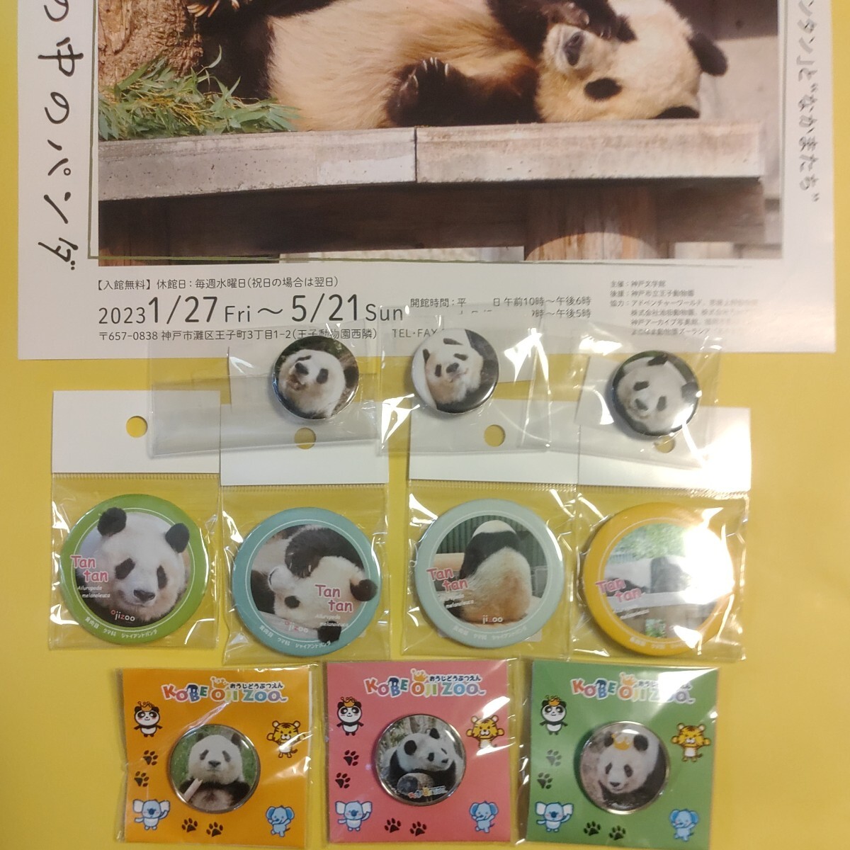タンタン 王子動物園 缶バッジ ピンバッジ セット パンダ Panda ジャイアントパンダ シャンシャン シャオシャオ レイレイの画像3