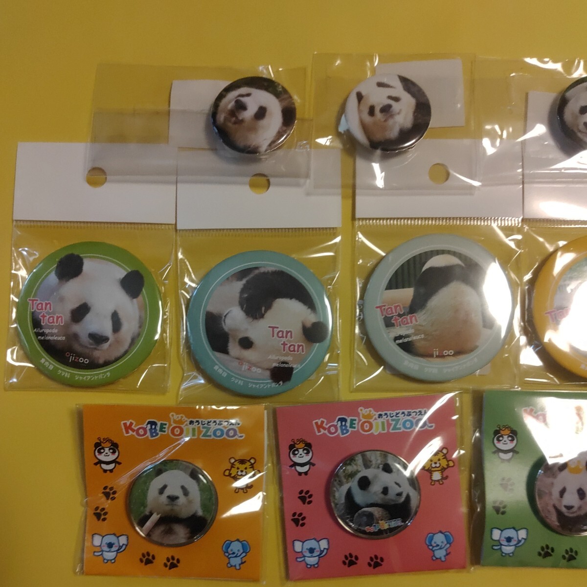 タンタン 王子動物園 缶バッジ ピンバッジ セット パンダ Panda ジャイアントパンダ シャンシャン シャオシャオ レイレイの画像7