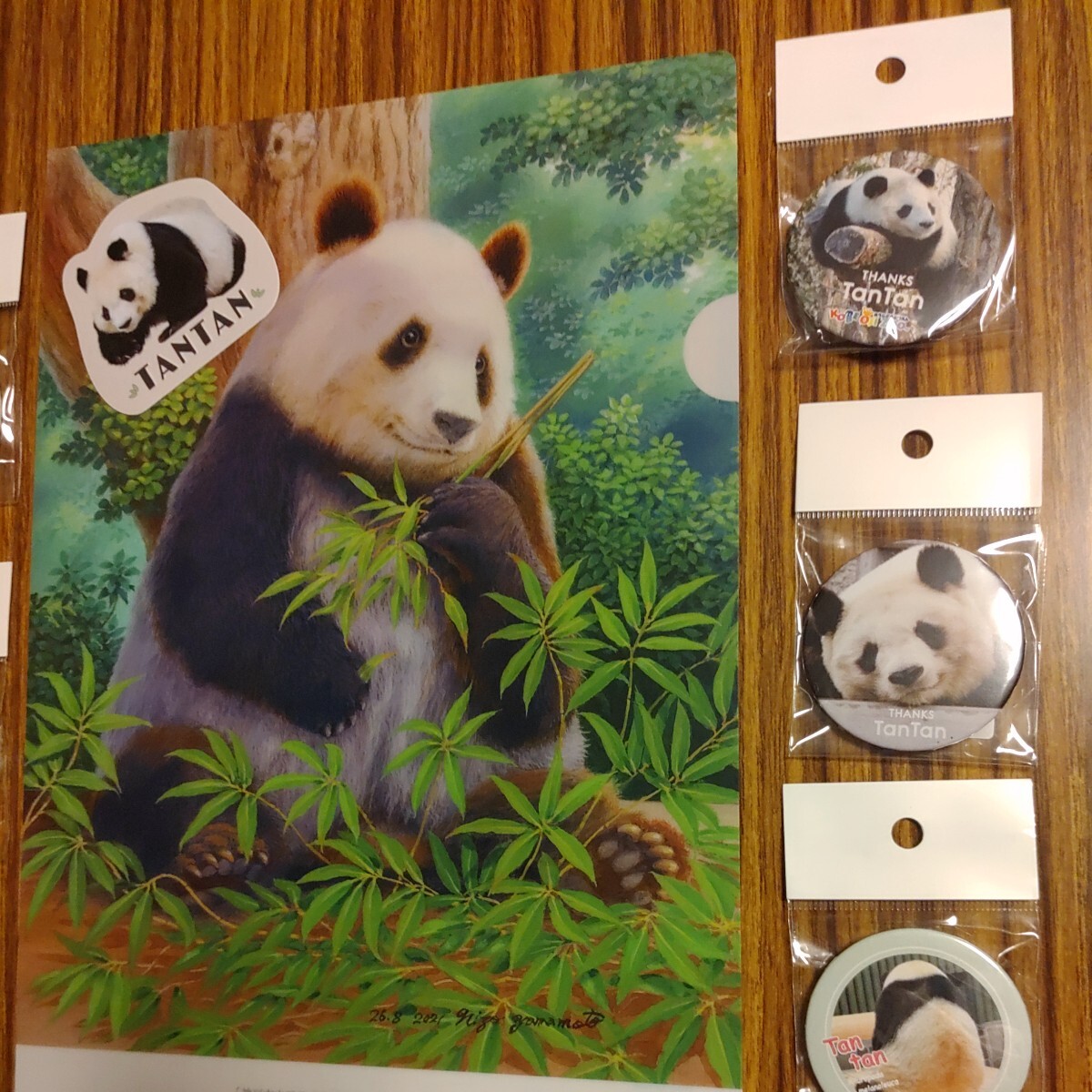 レア タンタン 王子動物園 26歳お誕生日 山本ニ三先生 クリアファイル シール 缶バッジ5個 パンダ Panda ジャイアントパンダの画像4