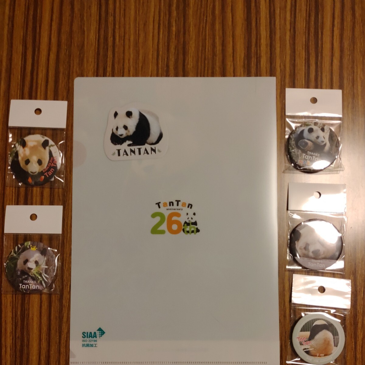 レア タンタン 王子動物園 26歳お誕生日 山本ニ三先生 クリアファイル シール 缶バッジ5個 パンダ Panda ジャイアントパンダの画像5