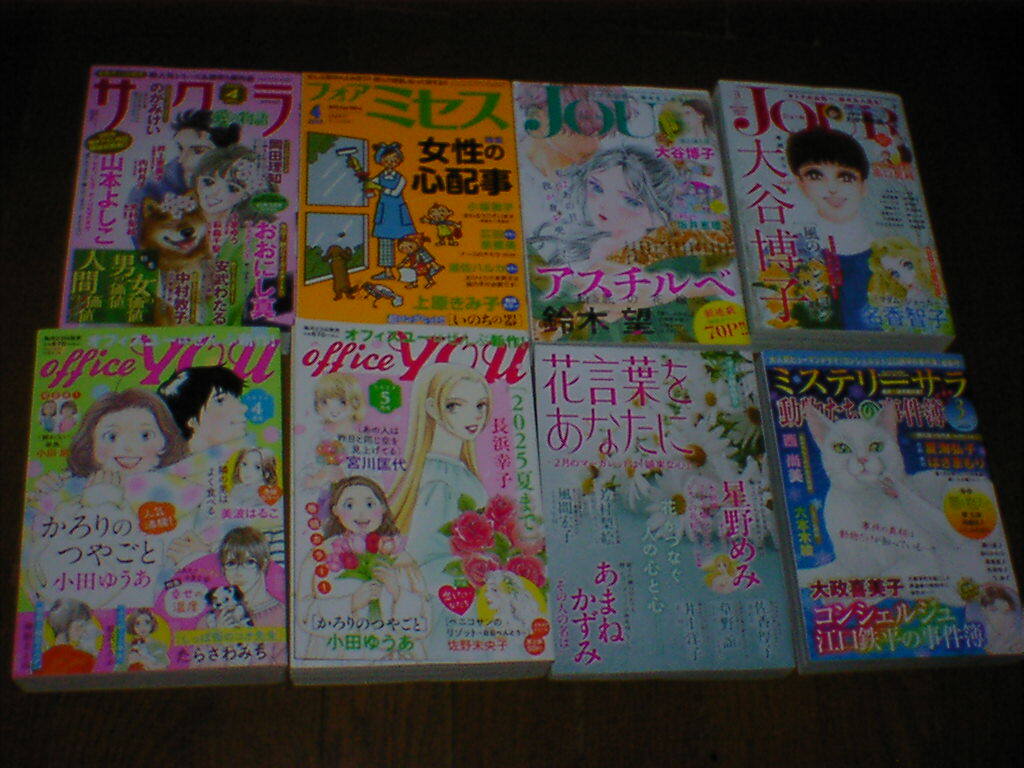 レディースコミック誌 24冊の画像2