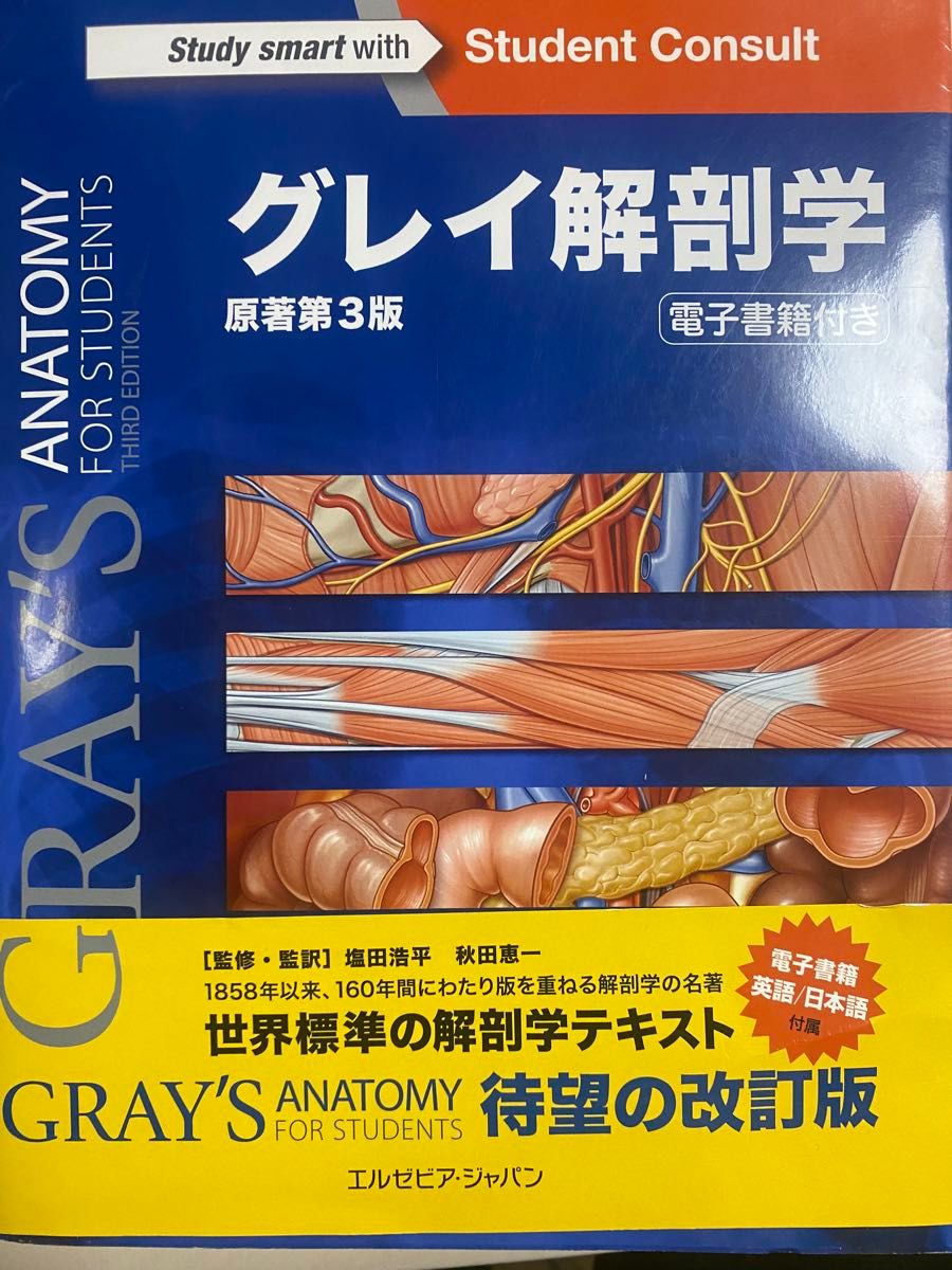 グレイ解剖学 （原著第３版） 