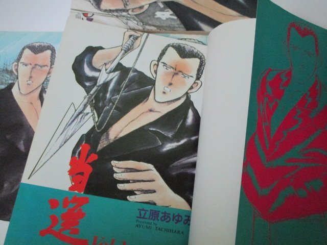 当選 全5巻セット 立原あゆみ/作 グランドチャンピオンコミックス(1993～)_画像2