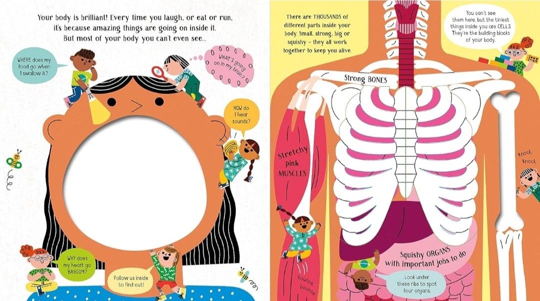 step inside science Your Body Usborne 英語絵本  洋書 化学 身体 秘密 絵本 おうち英語