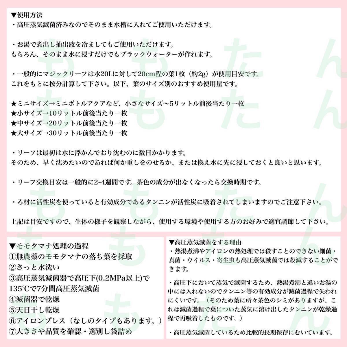 高圧蒸気滅菌済み沖縄県産無農薬モモタマナ（マジックリーフ）クラッシュタイプ（ちぎり葉） 110g (20cm前後の葉が約55枚相当)の画像9