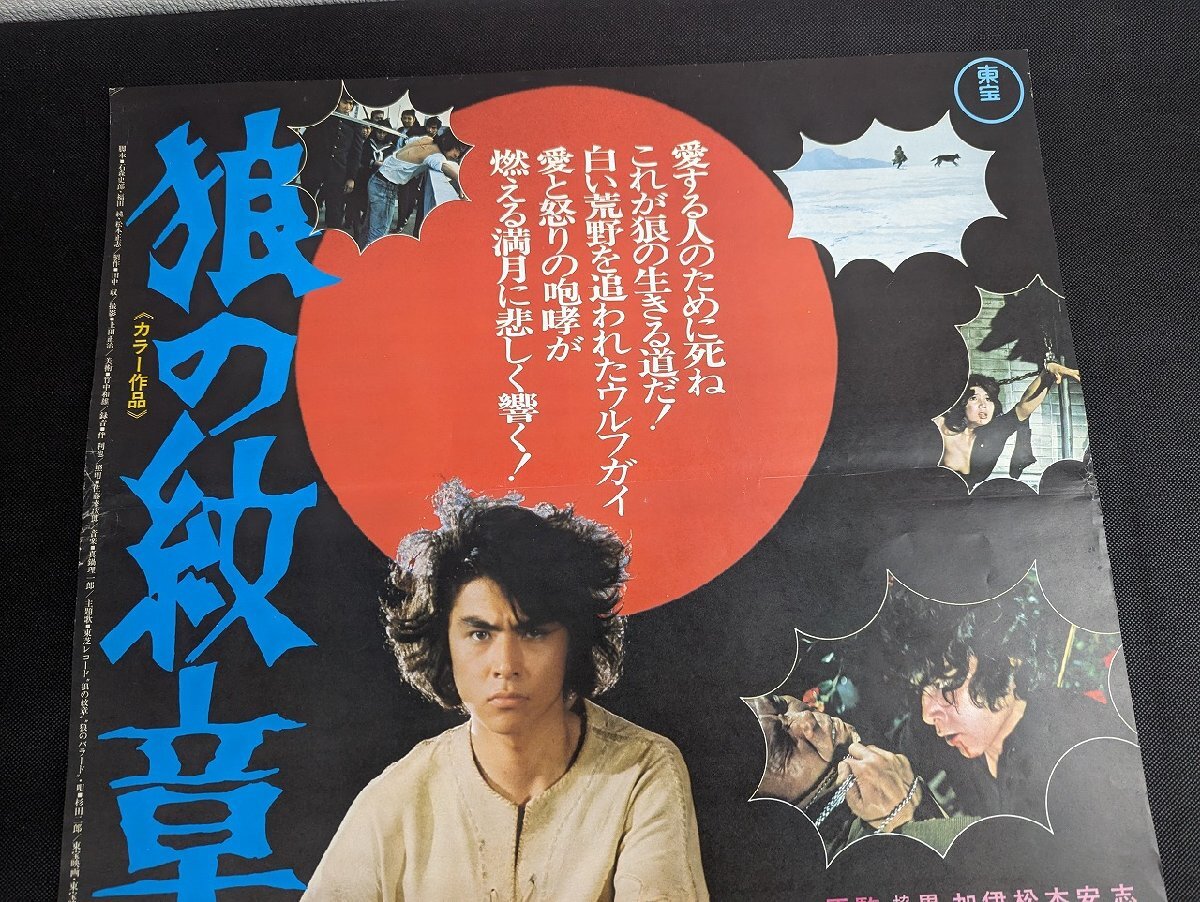 ※○M037/B2判映画ポスター/【狼の紋章　松田優作】　監督 松本正志　志垣太郎/黒沢年男/1円～_画像2