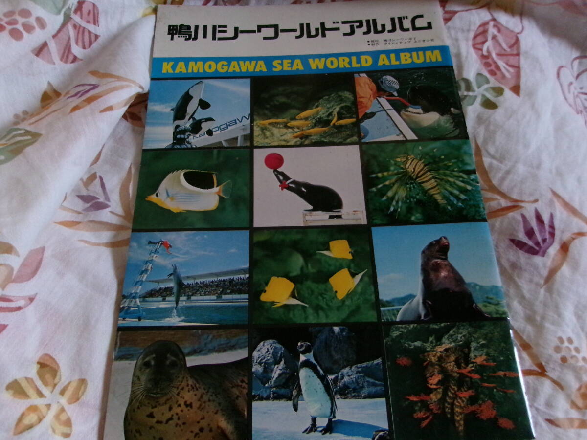 鴨川シーワールド パンフレット 中古 Yahoo!オークション - USED・鴨川シーワールド ふるーいパンフレット