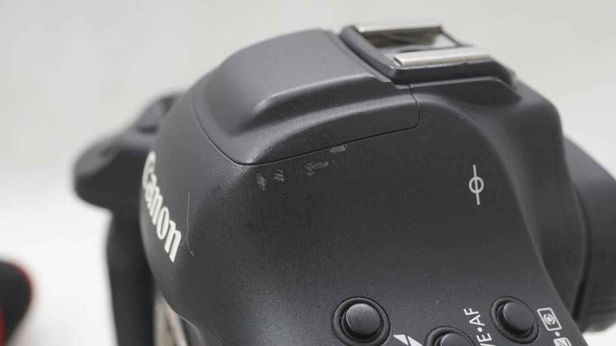 【108000ショット以下】Canon EOS-1D X Mark II フルサイズ一眼レフカメラ_画像3