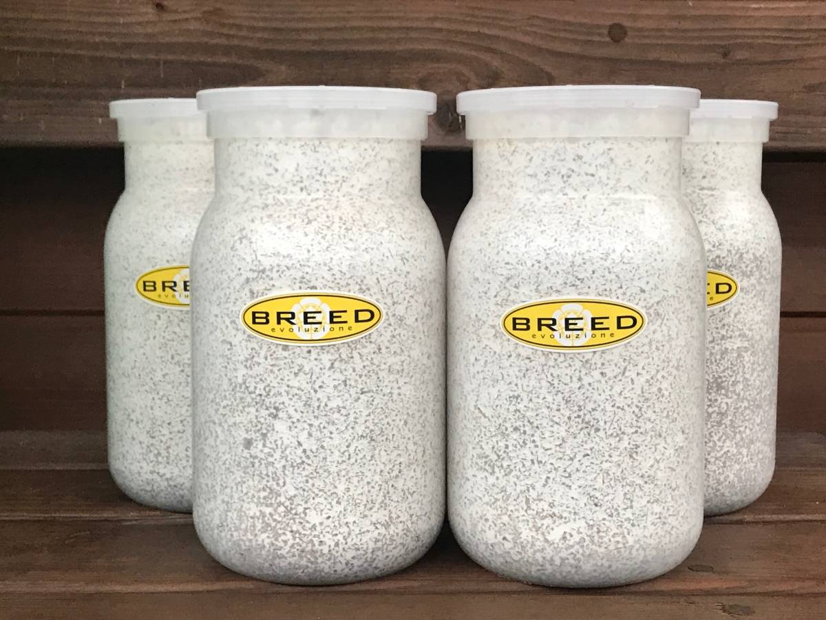  high quality * height performance BREED. thread bin 1100ml 4ps.@ special price ( bleed . thread bin . floor ) hope number order possibility 