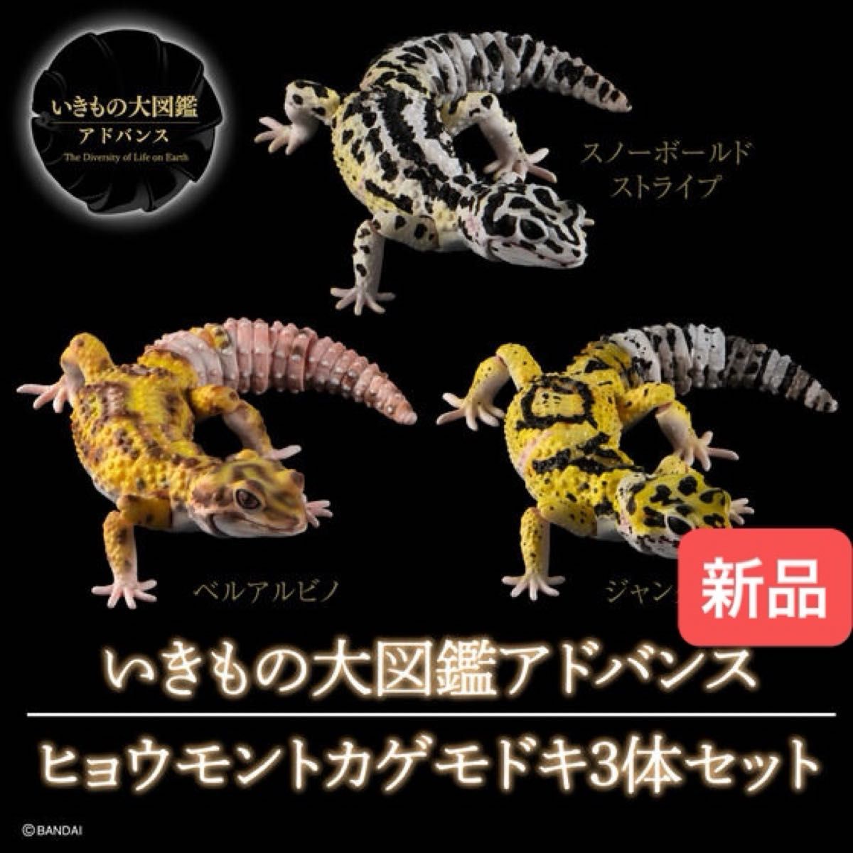 【WEB限定品　新品】　ヒョウモントカゲモドキ 3体セット　いきもの大図鑑アドバンス　バンダイ　生き物　ガチャ