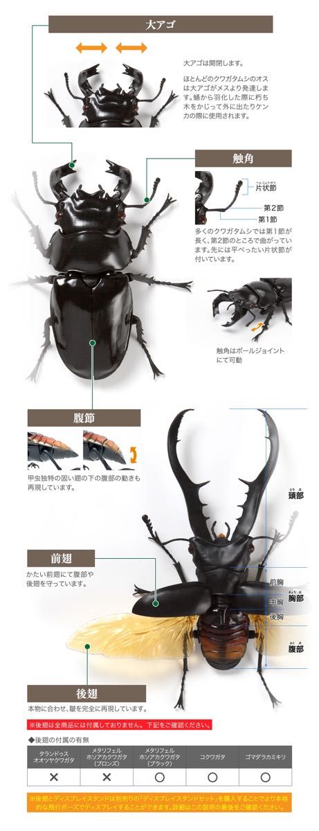 【新品】　タランドゥスオオツヤクワガタ　いきもの大図鑑くわがた04 バンダイ　生き物　昆虫　フィギュア　ガチャ