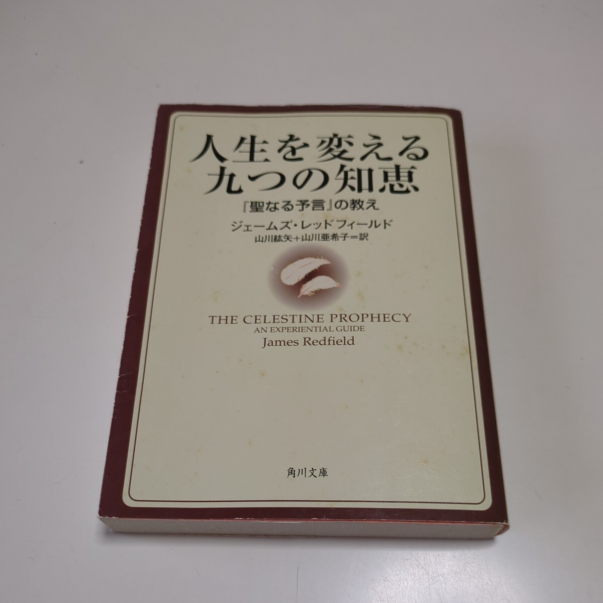 人生を変える九つの知恵 聖なる予言の教え ジェームズ・レッドフィールド 角川文庫 山川紘矢 山川亜希子 中古 古書_画像1