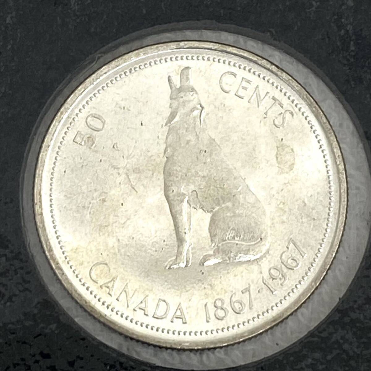 未開封 カナダ 50CENTS 銀貨 1867-1967 エリザベス オオカミ コイン 貨幣 硬貨 ブリスターパック の画像4