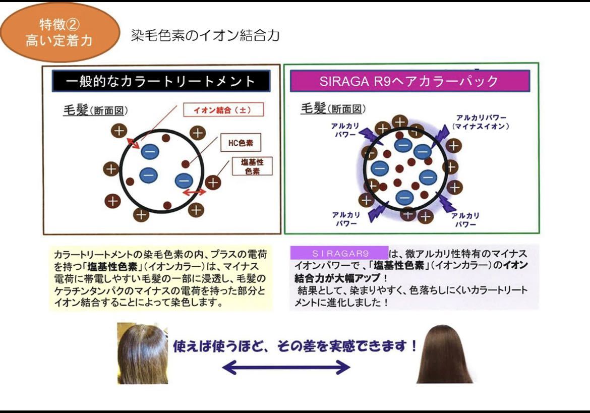 即日発送 シラガレスキュー シラガR9 ヘアカラーパック EX トリートメント染毛料 200g グロッシーブラウン トリートメント 染毛料 白髪染め