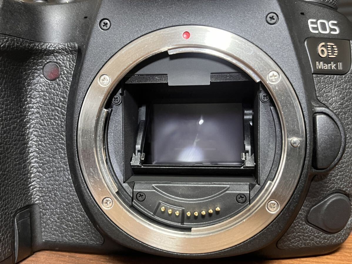 Canon EOS6DmarkⅡボディ 予備バッテリー＋SDカード 美品低ショット数 キヤノン安心メンテ済の画像5