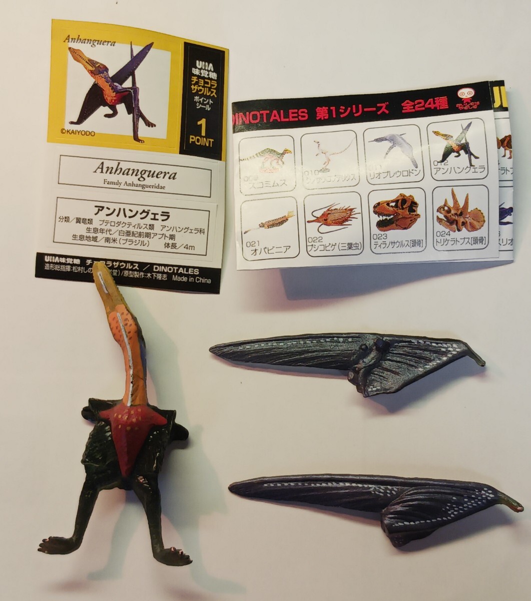 チョコラザウルス　第１シリーズ　012　アンハングェラ　恐竜　古代動物　UHA味覚糖_画像1