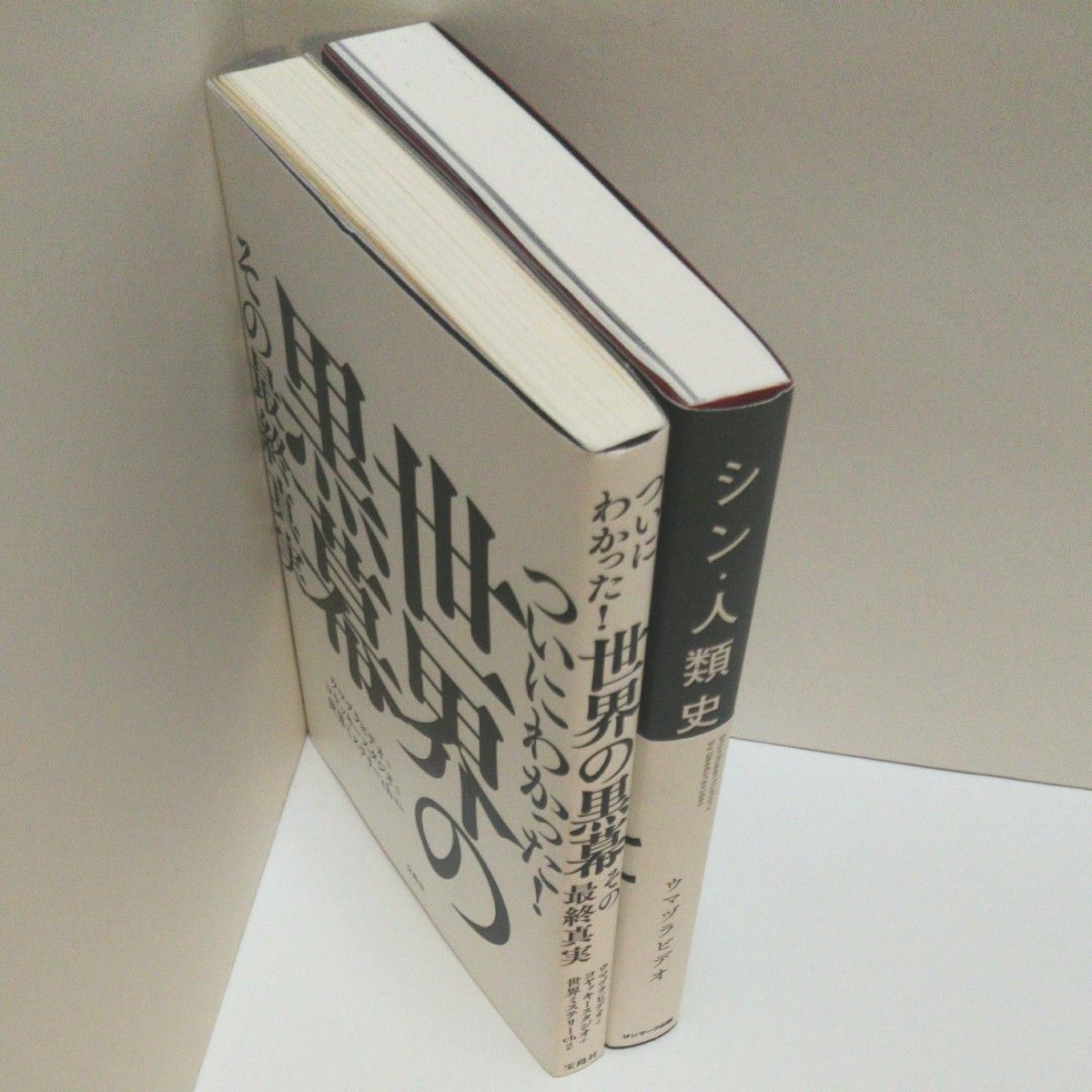 ついにわかった！世界の黒幕その最終真実 ウマヅラビデオ／著 コヤッキースタジオ／著　世界ミステリーｃｈ／ほか著    シン・人類史