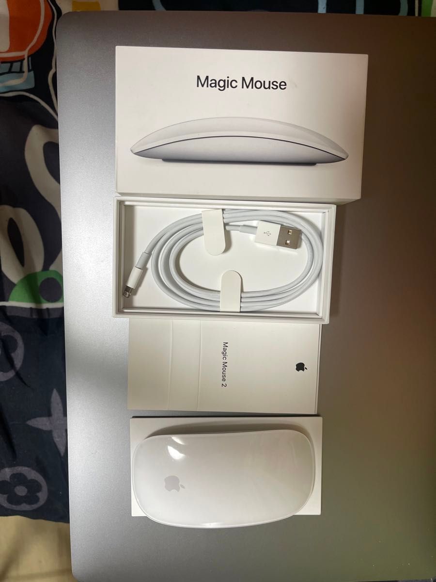 Magic mouse 2 Apple