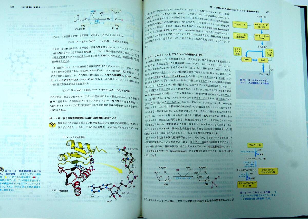 ●生化学 ×5冊、ストライヤー ヴォート、マッキー　まとめて_画像6