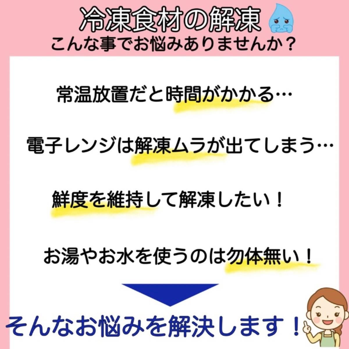 急速 解凍プレート 解凍皿 自然解凍 お肉 魚 M 粗熱 時短 エコ 冷凍 冷却 節約 