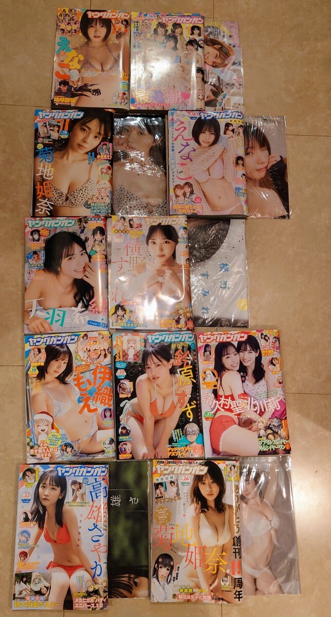 ヤングガンガン 2023年 13,14,15,16,17,18,19,20,21,22,24号 11冊 グラビア アイドルの画像1