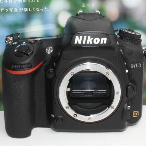 予備バッテリー付きNikon D750 超望遠トリプルズームセット_画像3