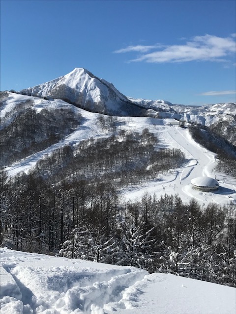 令和５年☆魚沼産コシヒカリ☆玄米30kg☆新潟県認証特別栽培米(農薬・化学肥料５割減栽培)☆食味特Ａ☆精米小分け無料の画像10