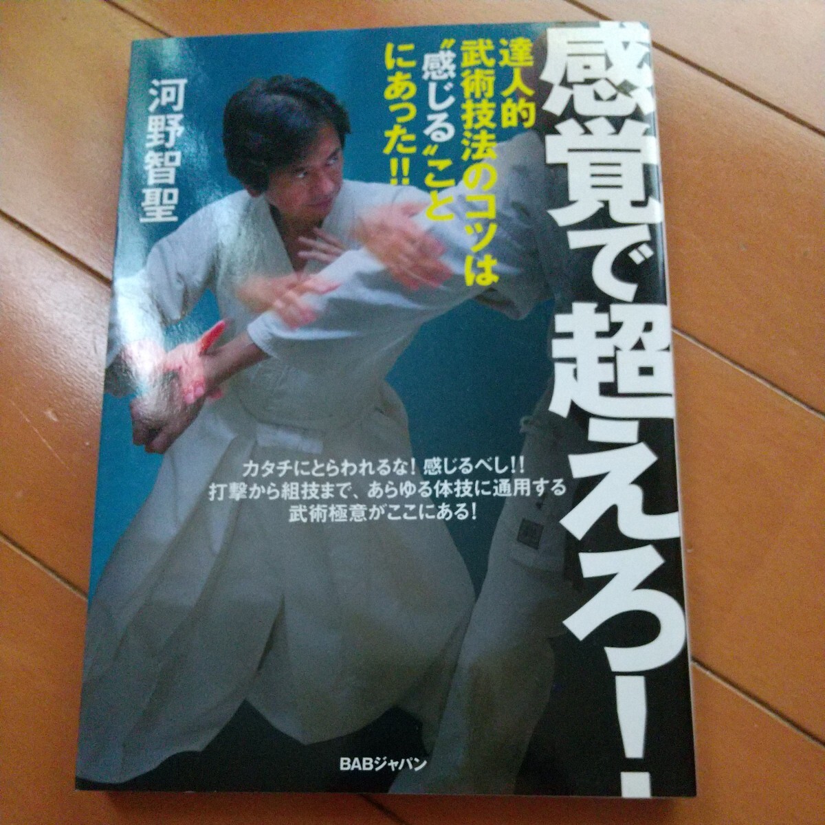 感覚で超えろ!  河野智聖  古武道 武術 柔術 合気道 拳法 空手 護身術大東流 少林寺拳法 太極拳の画像1