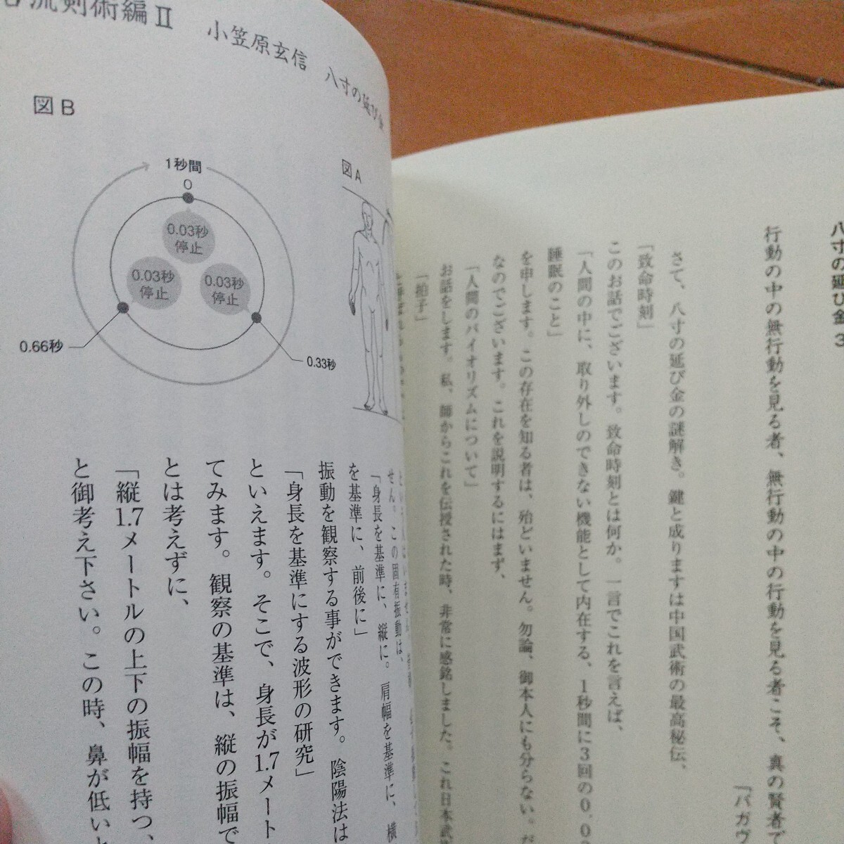 武術極意の本当の話 近藤 孝洋 古武道 武術 柔術 合気道 拳法 空手 護身術 大東流 少林寺 剣術 の画像5